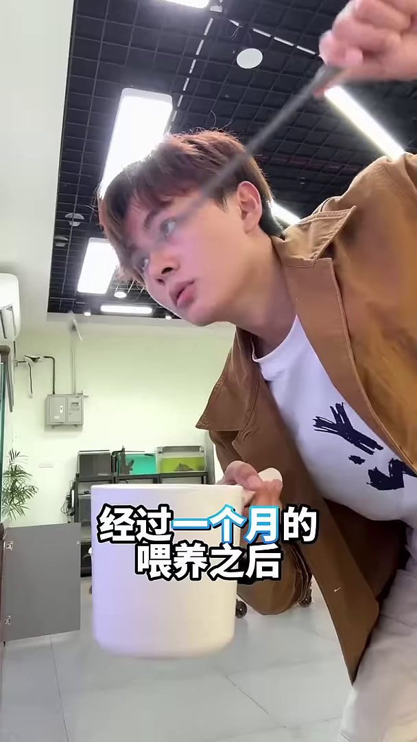 1个月的巨骨舌鱼苗,竟然长得这么快
