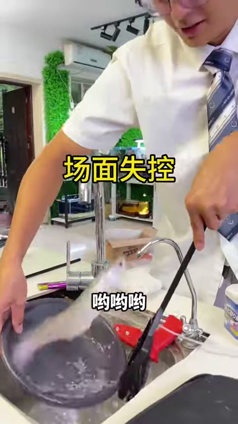 蓝环章鱼再次回归,不一会功夫就吸在鱼缸之上,没想到第2天结果竟是这样!(10)