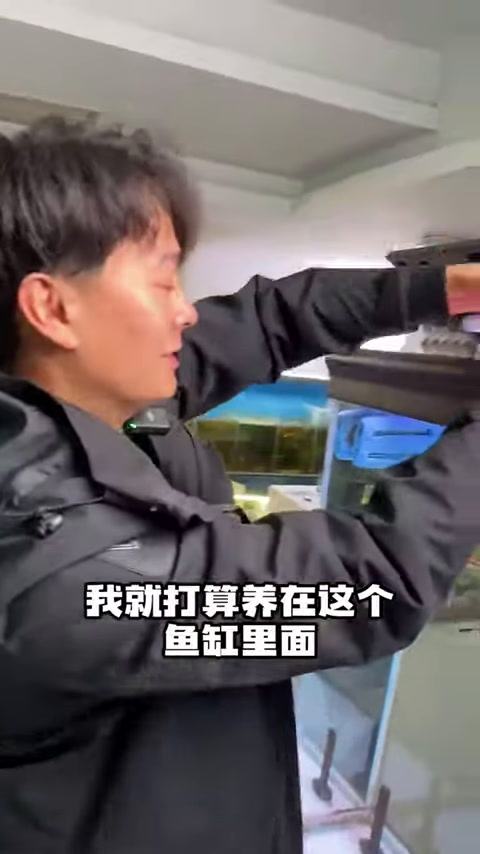 巨骨舌鱼再次回归,安排最高待遇,不料还是却被隔壁鳄雀鳝惦记!(1)