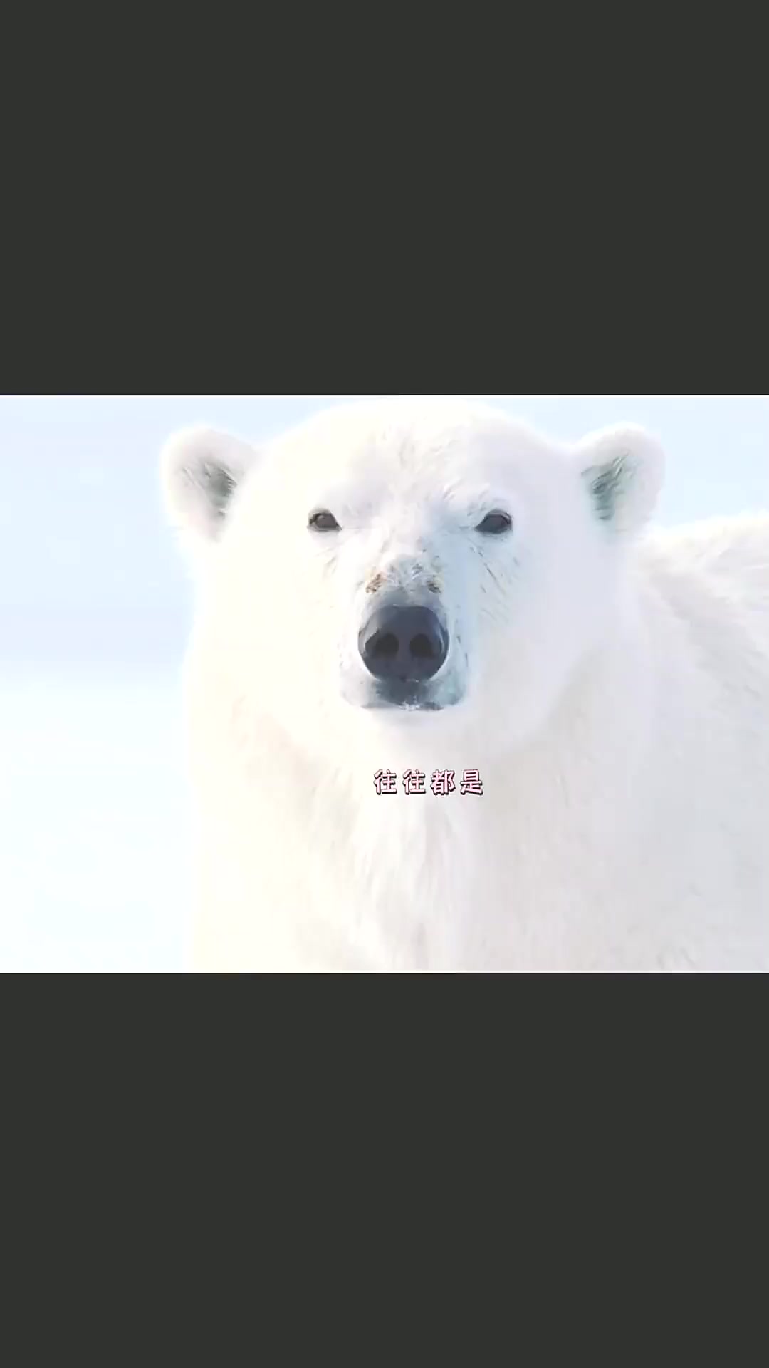 失败是成功之母～呜呜呜 到嘴的大毛鱼儿跑了