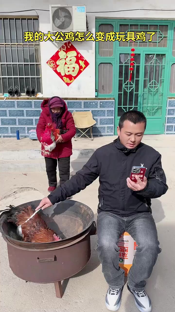 我的白条鸡怎么变成玩具鸡了