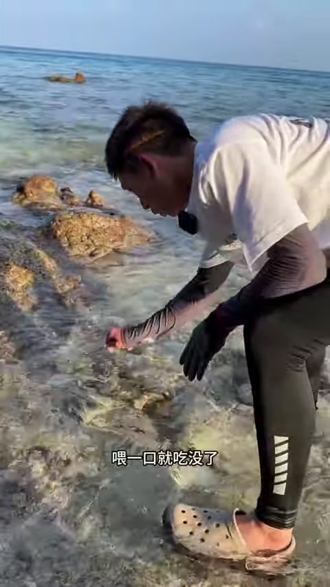 用自制的钩子钩住鳗鱼。|反应视频。用自制的钩子钩鳝鱼