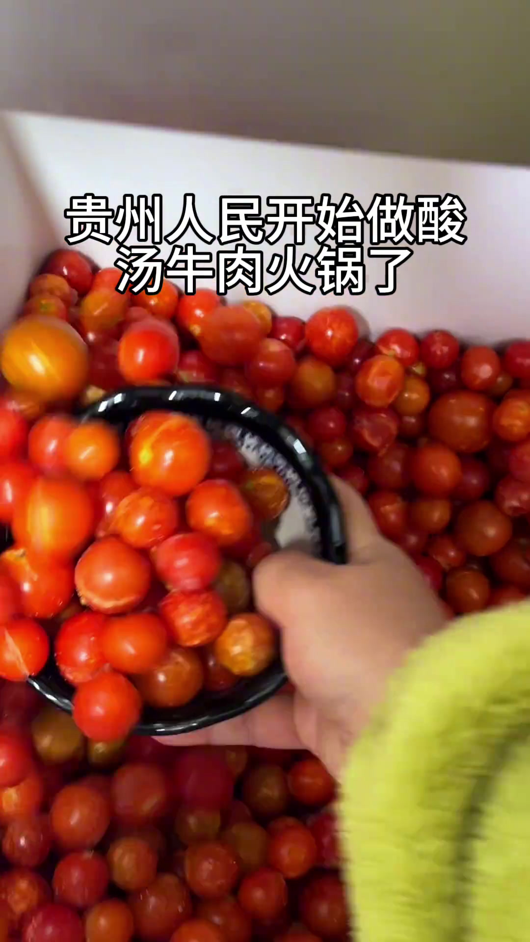 贵州的火锅怎么能少得了酸汤牛肉火锅呢