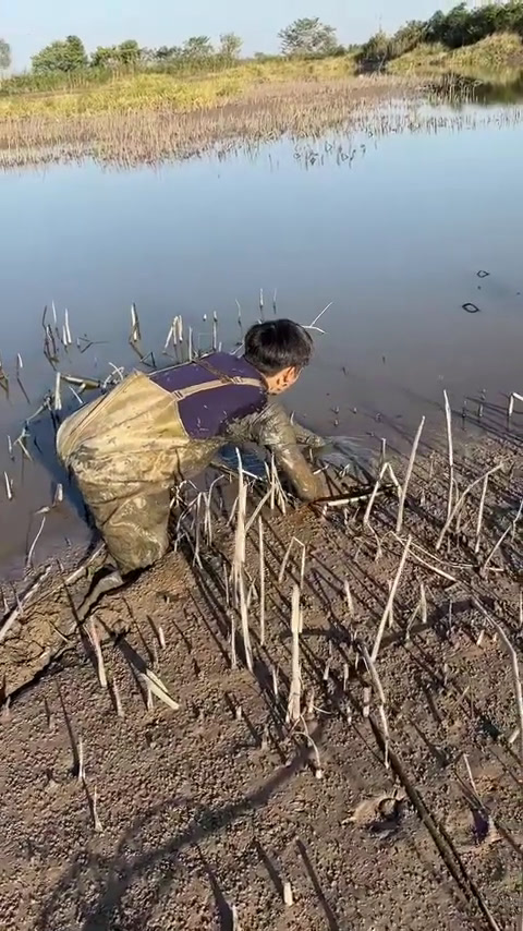 2万元能卖多少条鳗鱼?今天我花了600元抓了他们两个小时。(2)