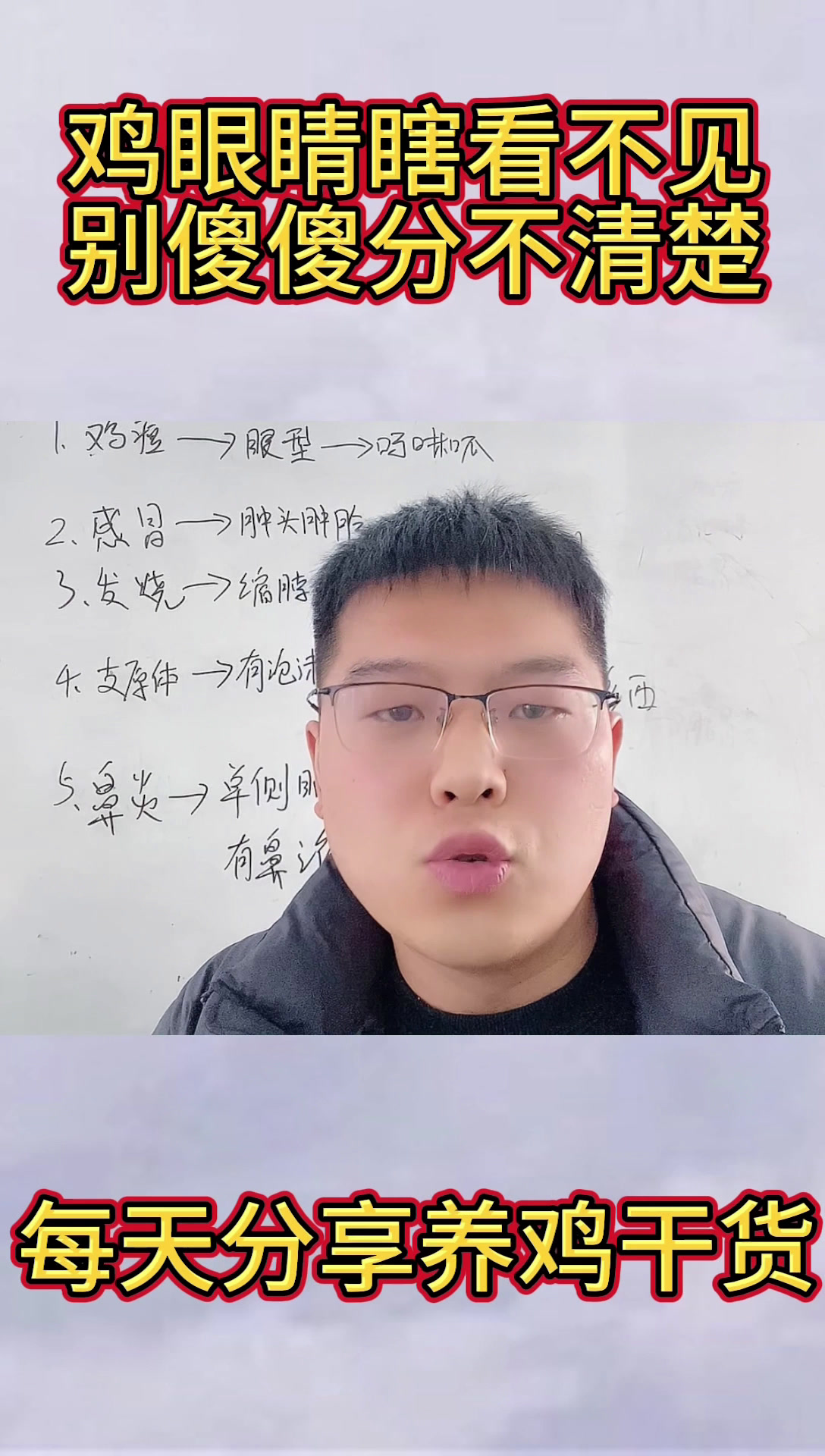 禽医刘帆谈鸡眼睛瞎看不见别傻傻分不清楚