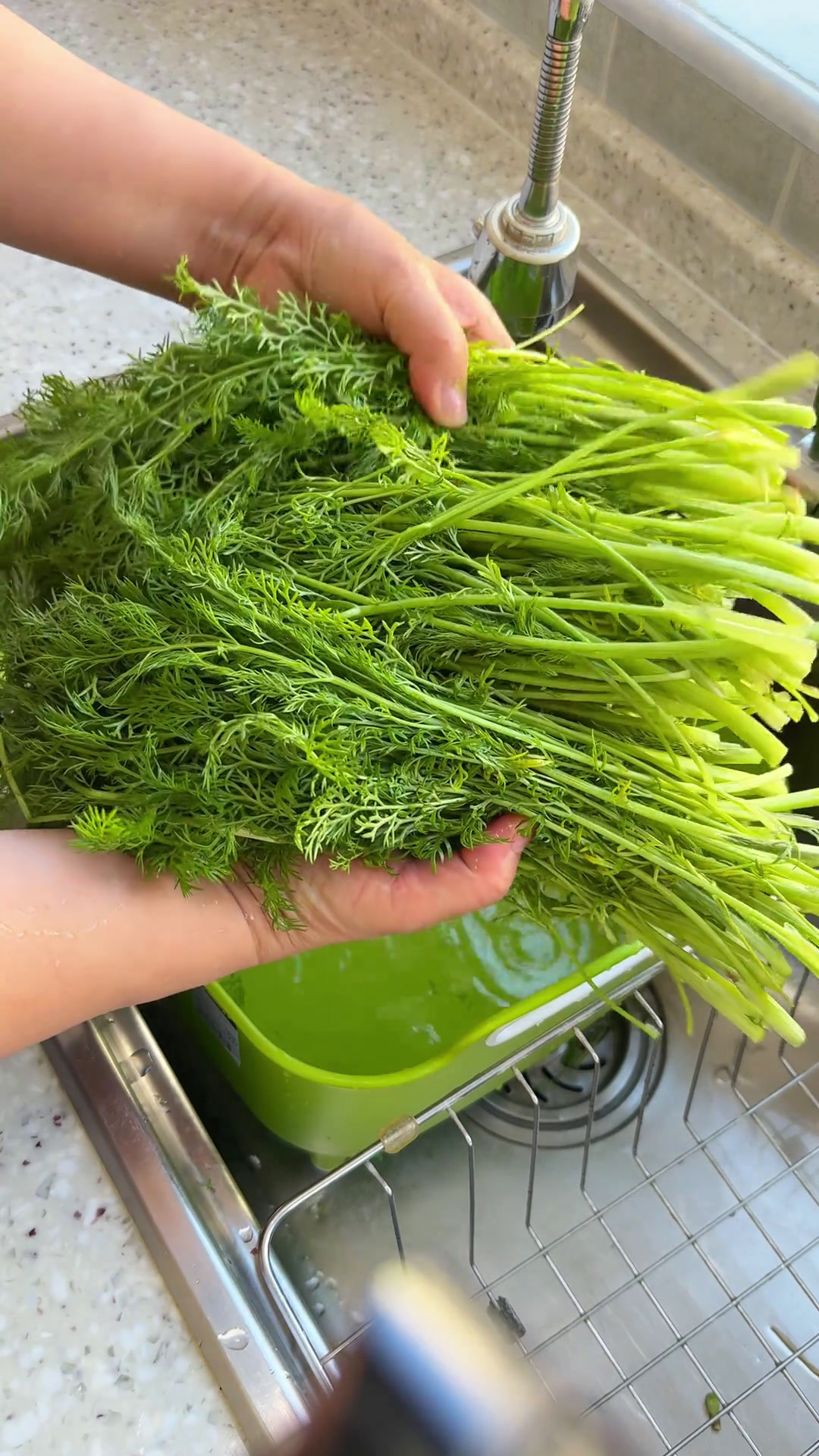 茴香馅儿大包子!香迷糊了!