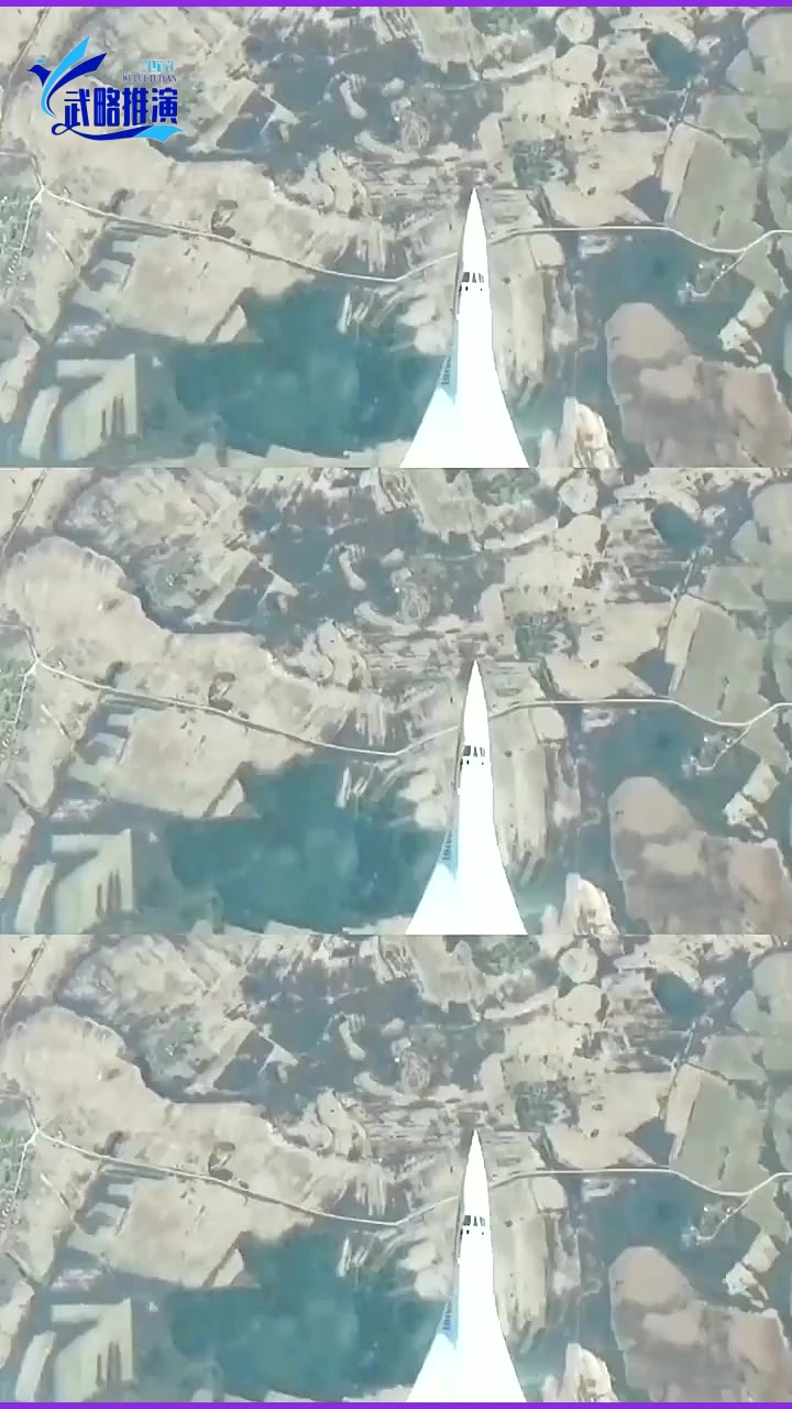 最美白天鹅,颜值与实力并存,就用白天鹅的魅力带走今天的烦恼