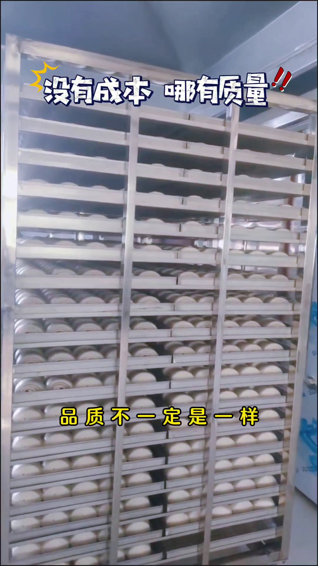 馒头蒸房大型商用双门单门推车不锈钢米糕米饭包子玉米蒸箱醒发房