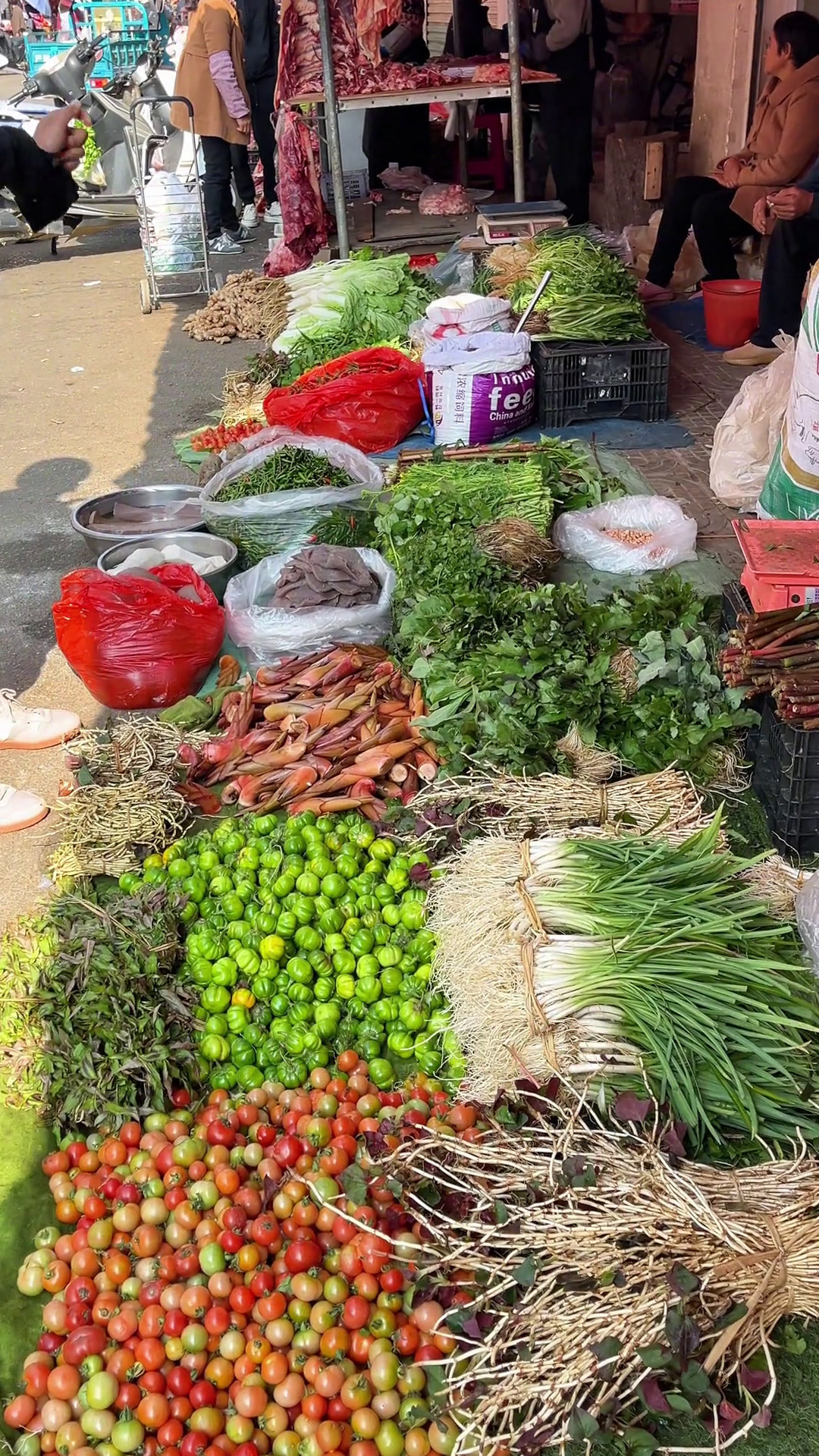 接下来云南人要开始吃野花野菜了