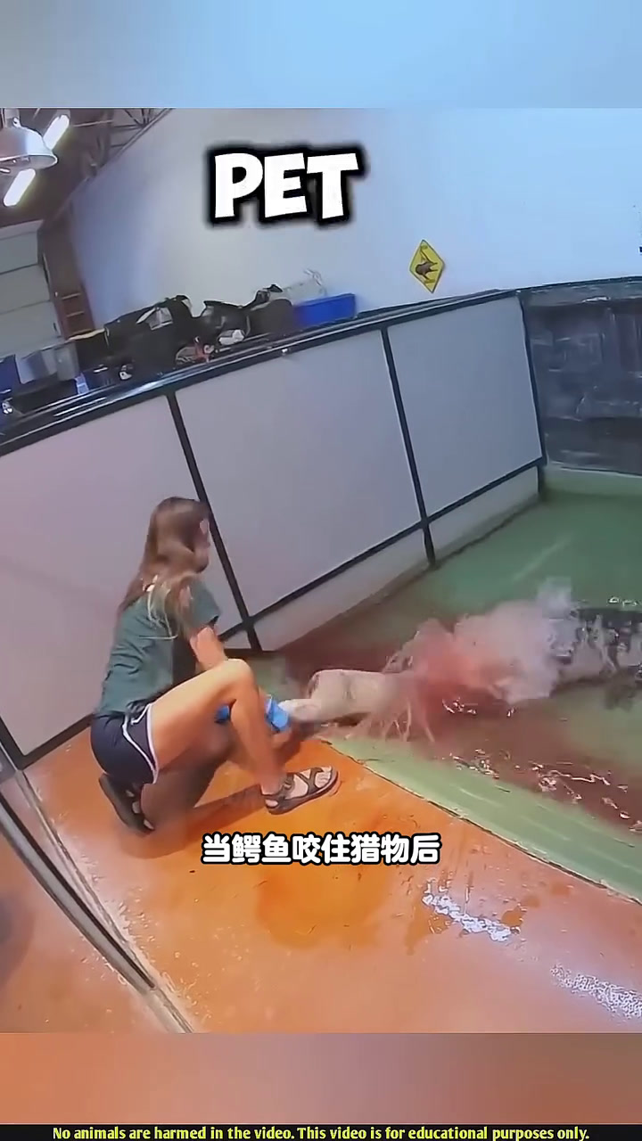 鳄鱼的死亡翻滚该怎么破解?