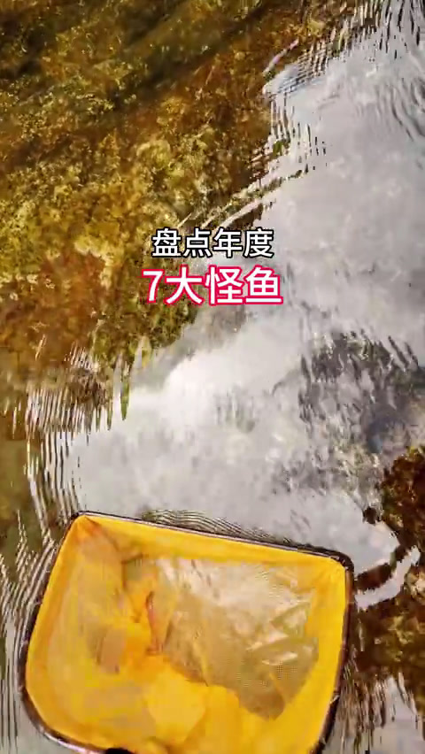 去年发现的7大怪鱼你解锁了吗
