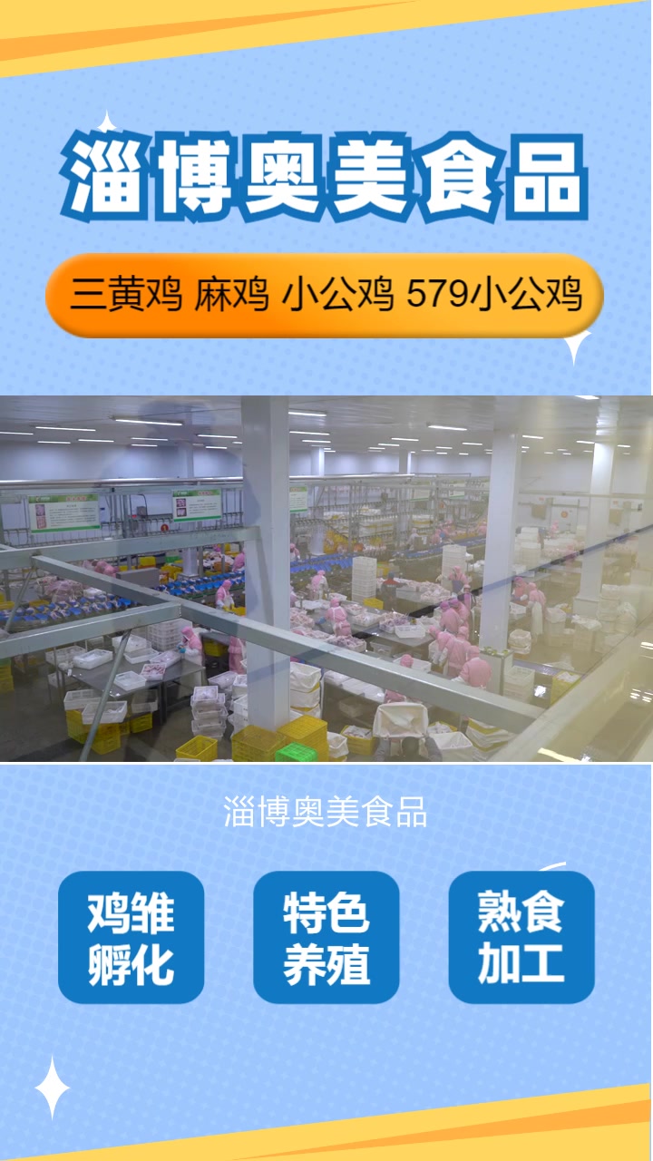 聊城冷冻三黄鸡厂家,在食品行业中独树一帜,淄博奥美致力于为广