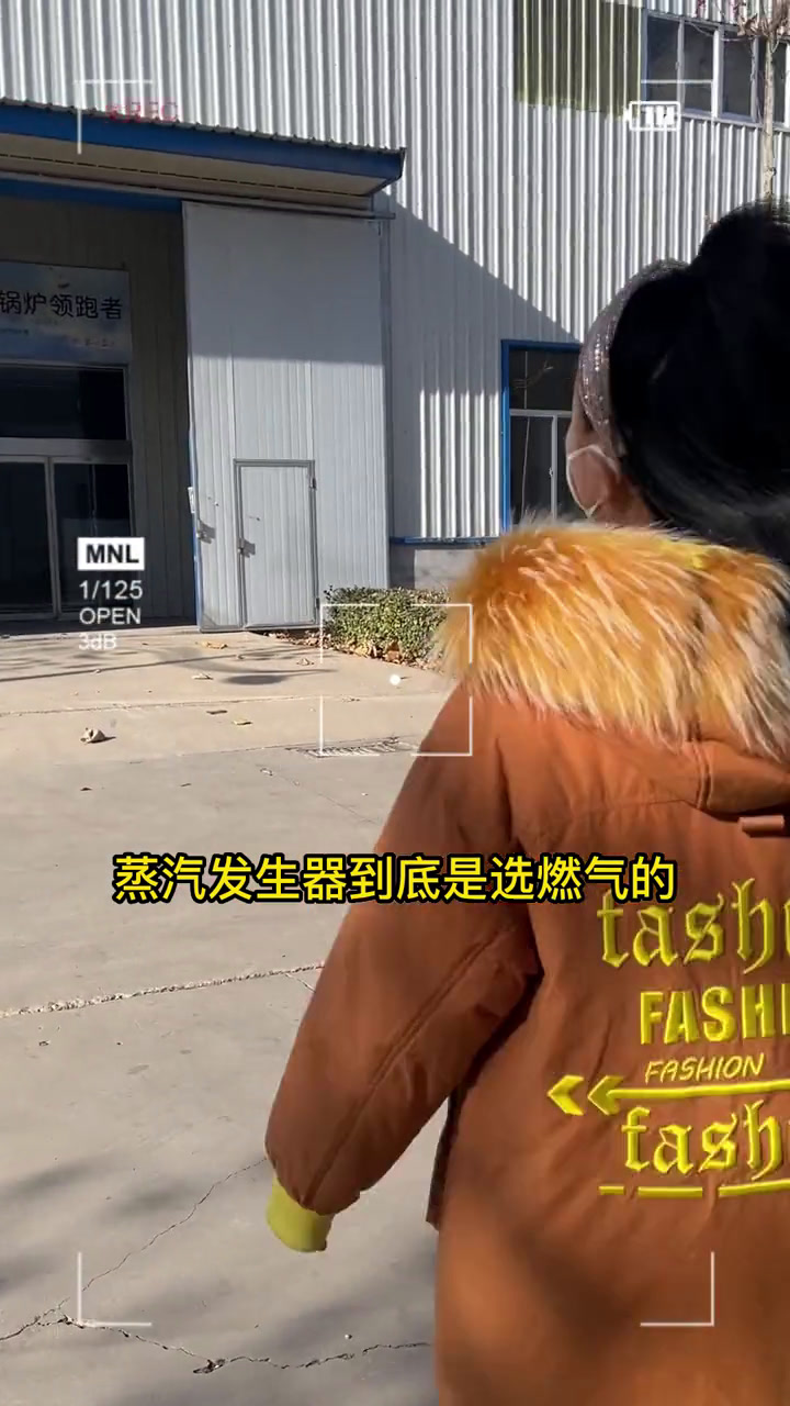 蒸汽发生器是选燃气的还是电的