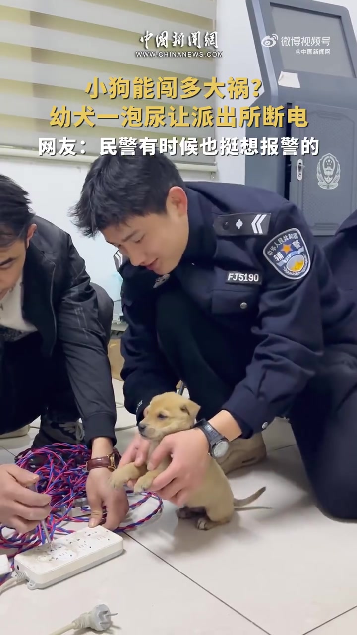 ?近日,湖北宜昌。群众捡到两只幼犬送到派出所,民警们投食照顾。没想到,小狗趁民警不注意溜进