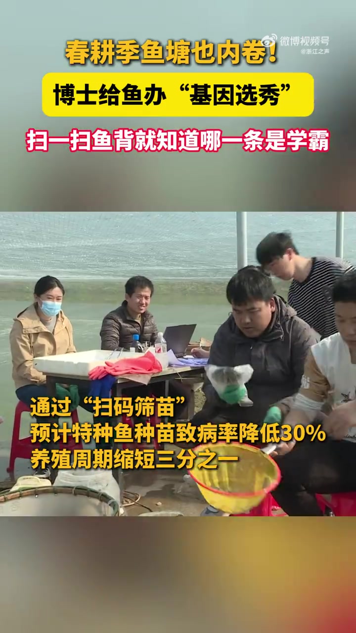 「扫一扫就知道哪条是学霸!浙江这片鱼塘科技感满满」随着春季水产育种进入关键期,浙江省农业科