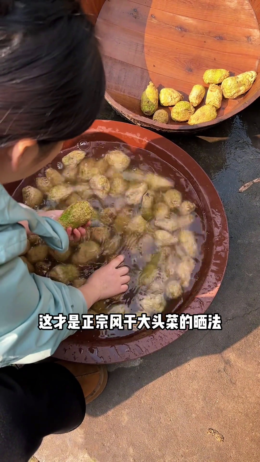 夫妻搭配干活不累。今天用传统工艺腌制大头菜