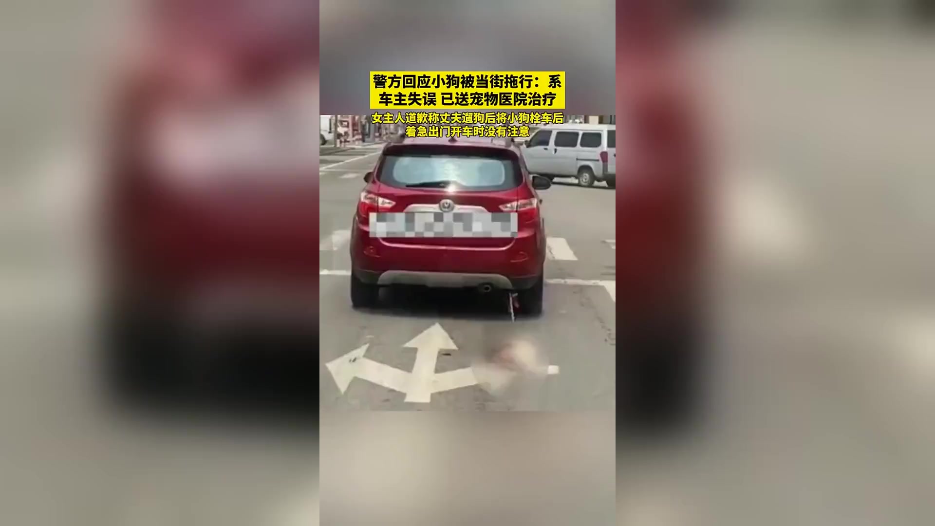 警方回应:小狗遭当街拖行事件,车主失误引发热议