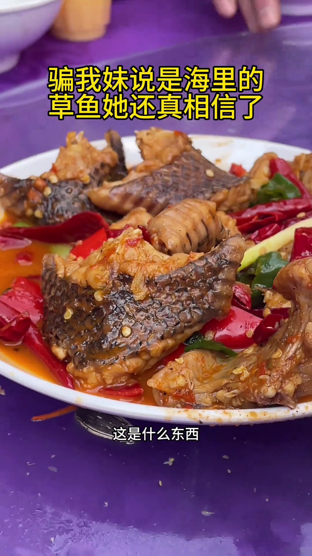 骗我妹说这是海里的草鱼,她还真相信了