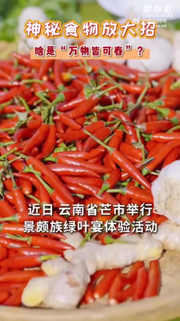 「神秘食物放大招,啥是万物皆可舂?」了不起的中国美食近日,云南省芒市举行景颇族绿叶宴体验活