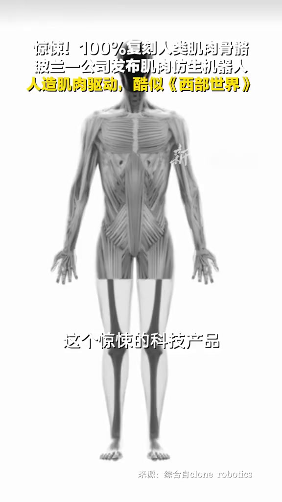 波兰发布一款新型机器人,100%复刻人类肌肉骨骼,网友:太吓人了