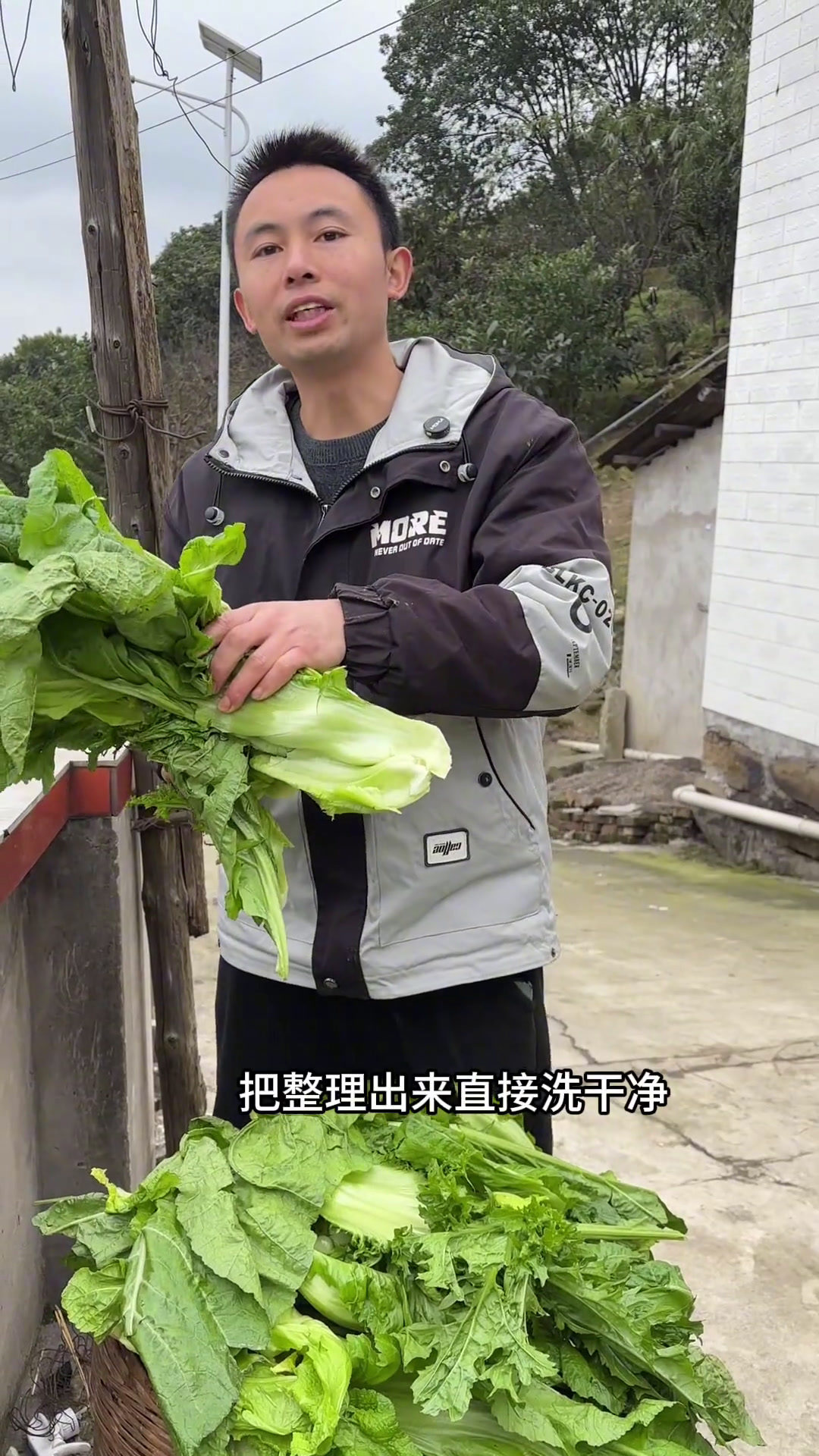老一辈传下来的手艺,四川老坛酸菜的做法