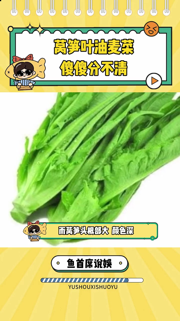 所以我这么多年吃的都是莴笋叶 蔬菜 油麦菜