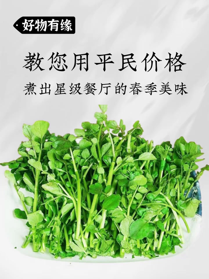 这菜长得像杂草,却是米其林主厨的早春秘密。朝阳初升万物新,春风送暖福进门;二月二十一,恰逢