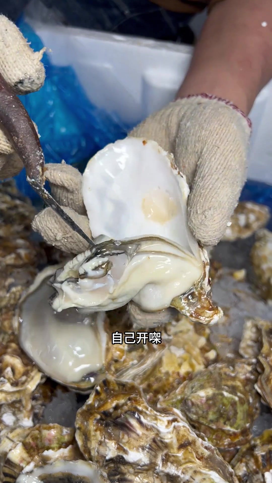生蚝鸡子加猪腰,不敢想象这口汤有多鲜甜
