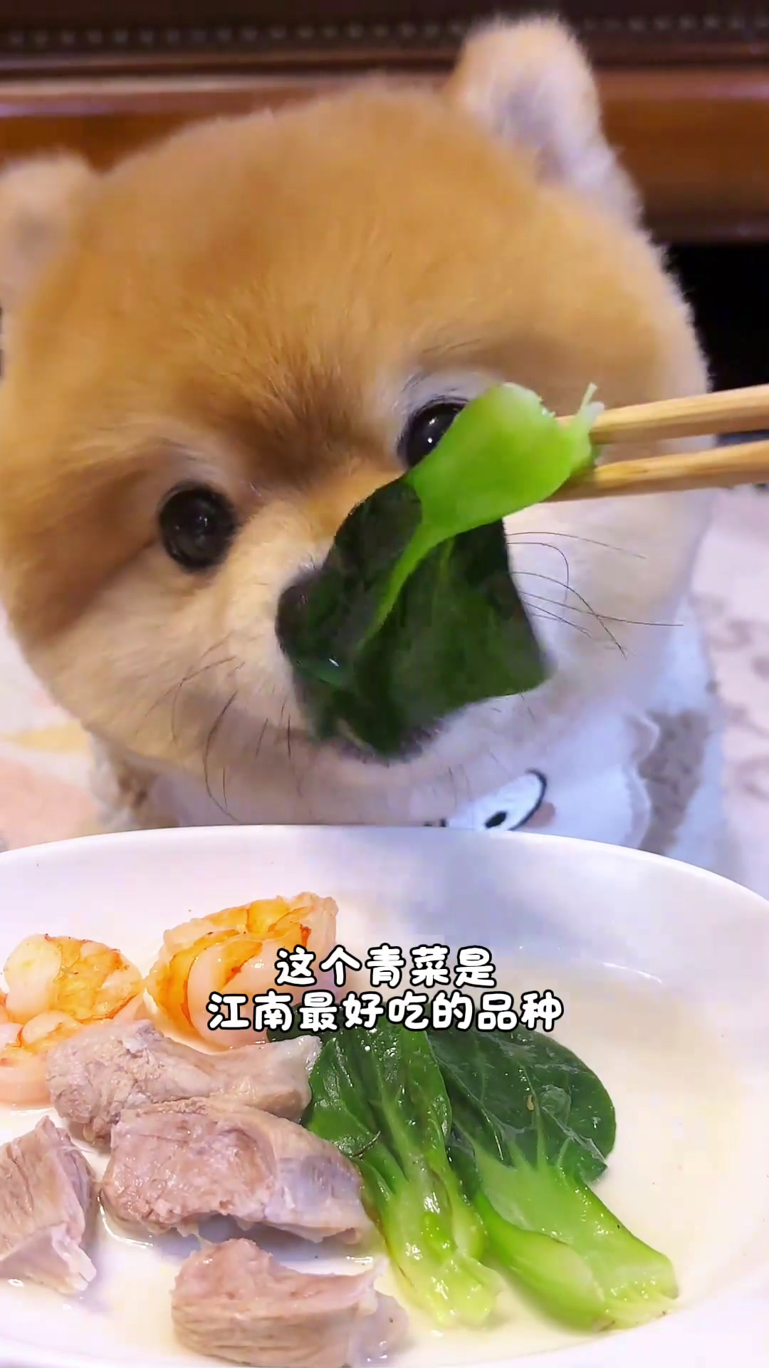 今天吃不吃大家点的上海青