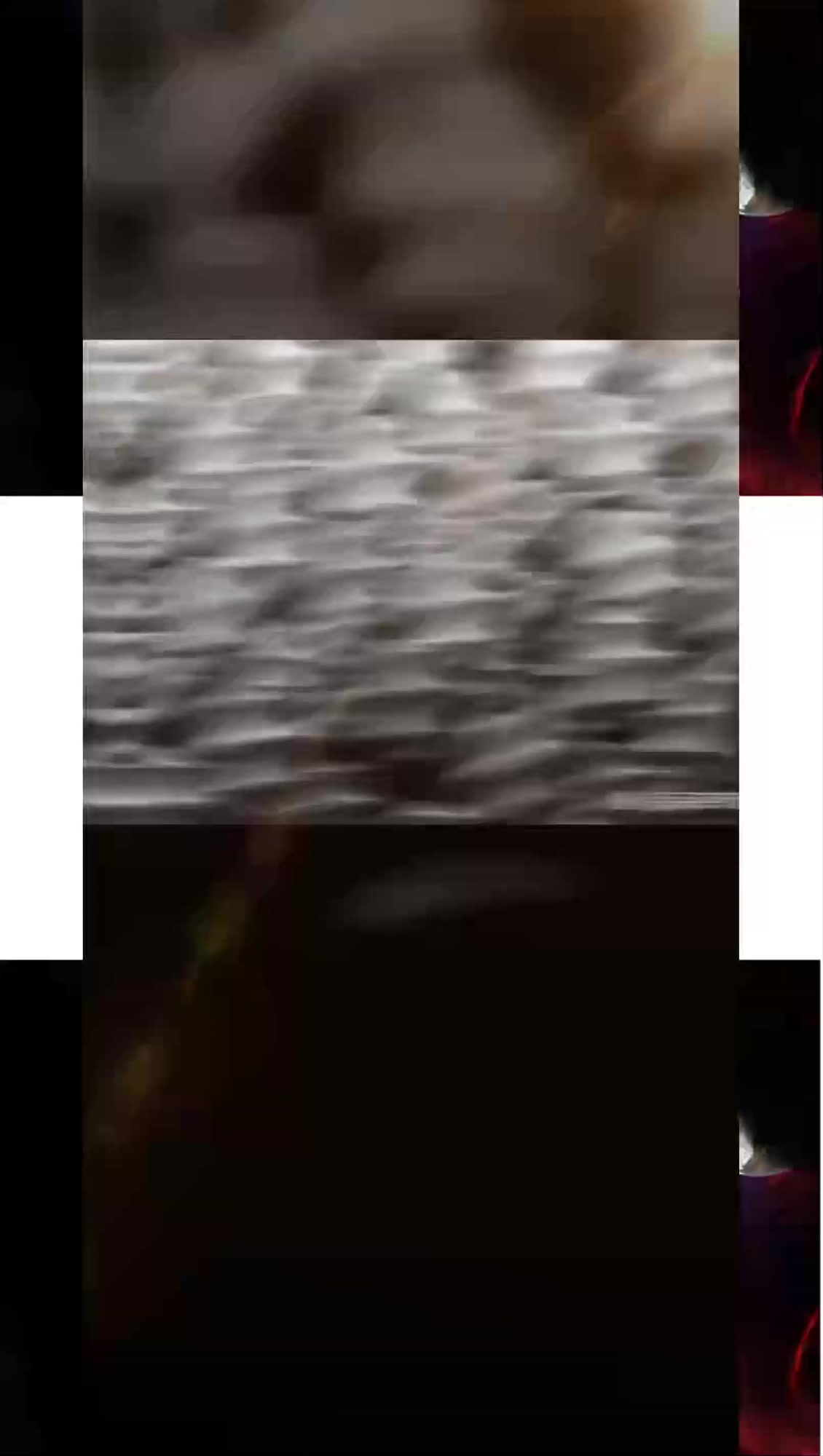 这是一张鲨鱼皮的特写:这种被称为真皮细齿的小鳞片,使鲨鱼在水中的运动极其顺畅快速。打破奥运