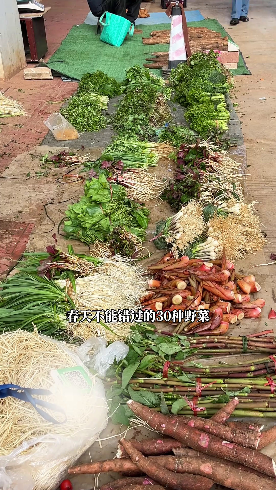 云南春天不能错过的30种野菜