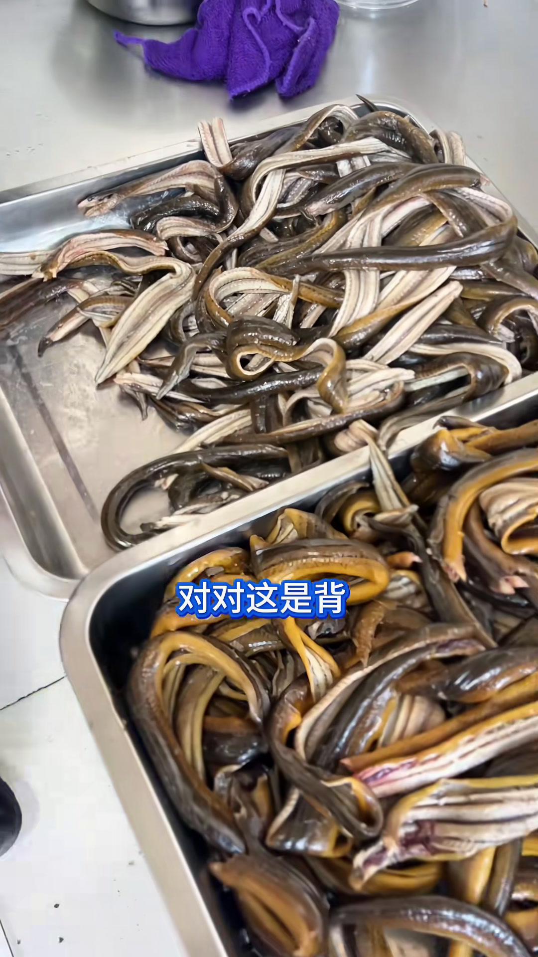 江苏淮安的长鱼面,35块钱一盘鳝鱼太好吃了