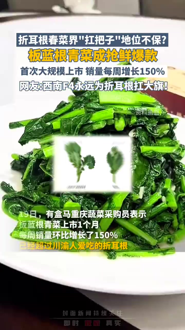 「板蓝根青菜是真有板蓝根基因!专家:是油菜和板蓝根杂交而成」板蓝根青菜火了 近日,多地商超