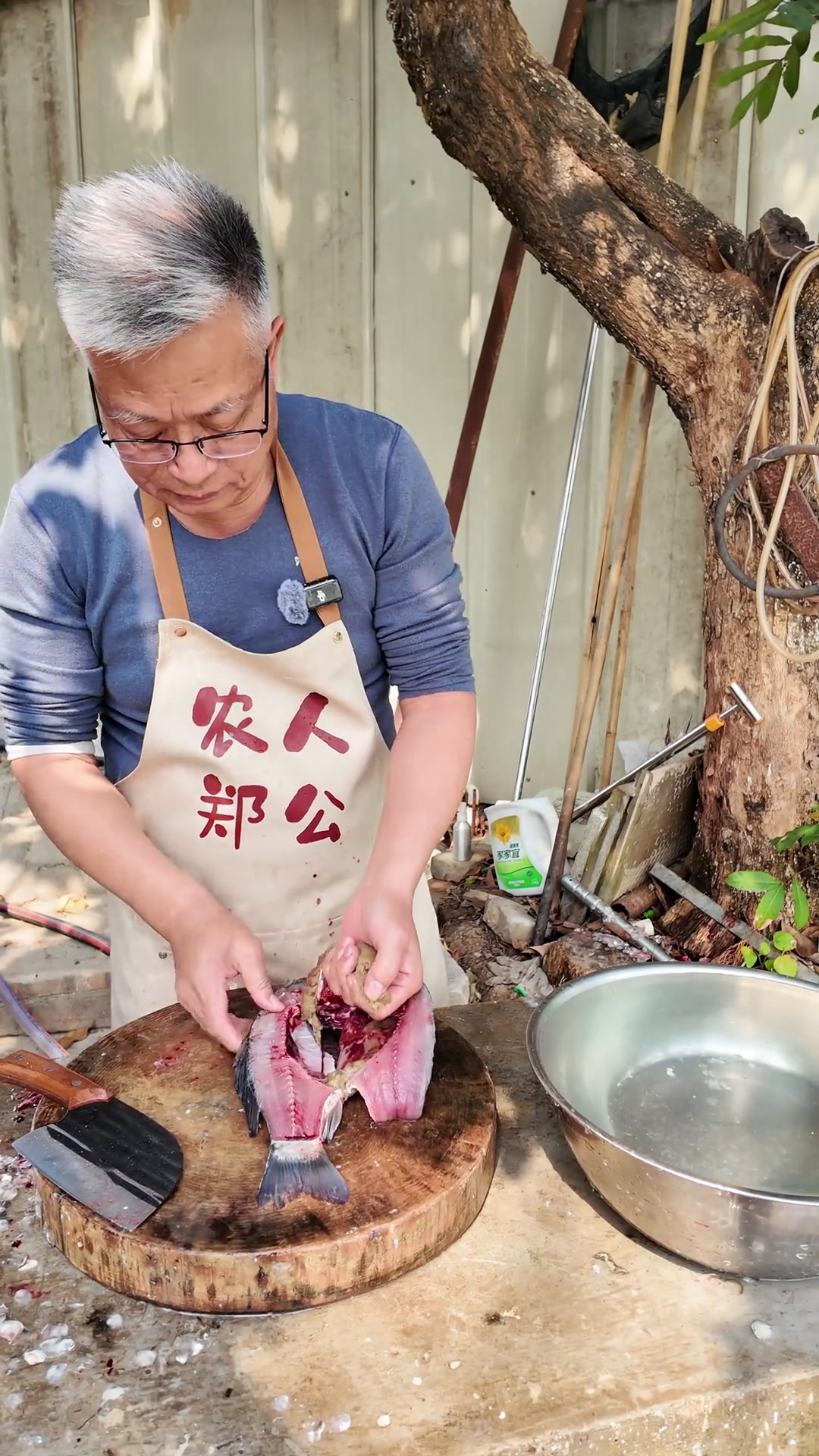 鲫鱼粥!现在这个天气吃一碗粥真的太舒服了