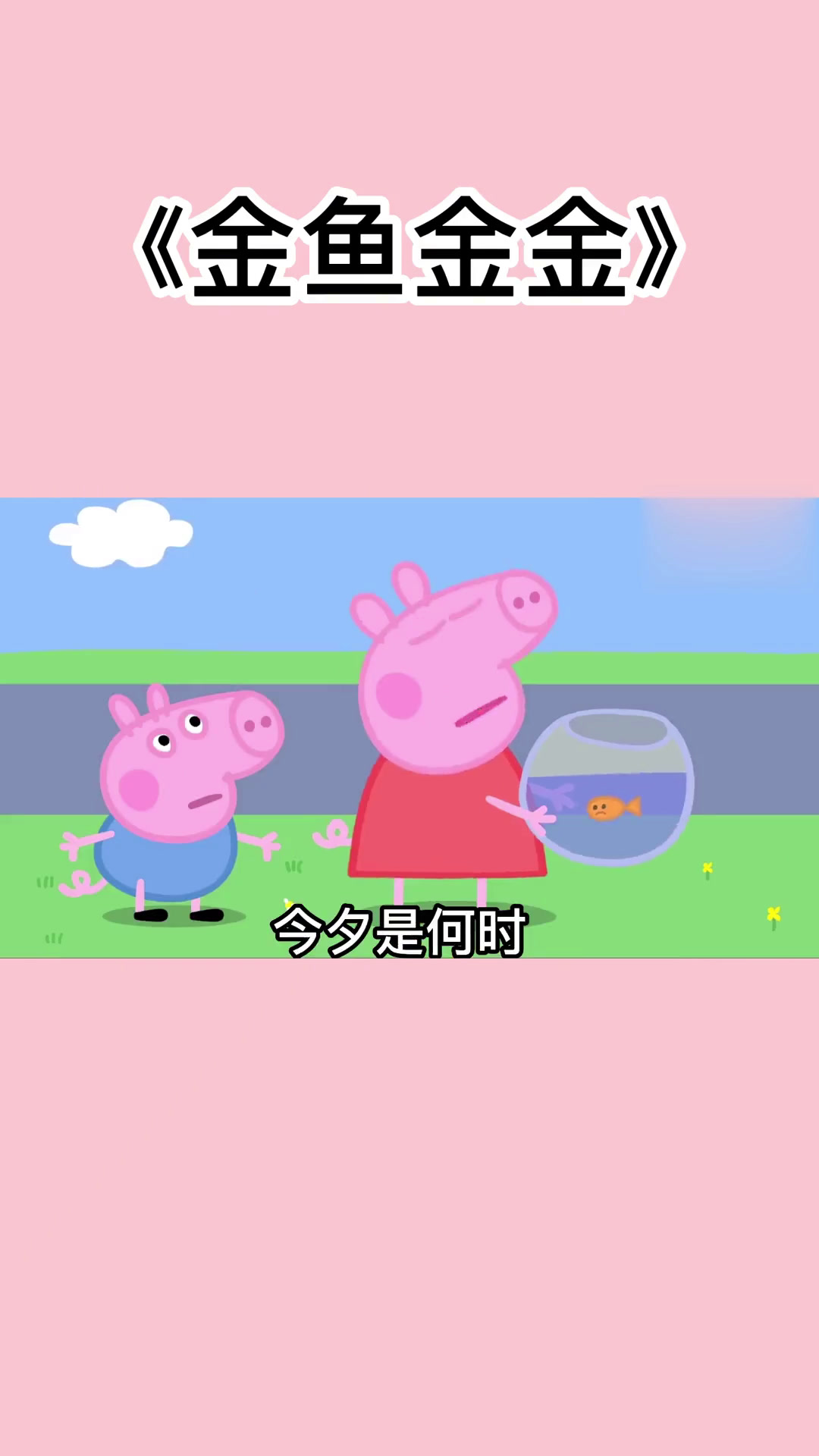 金鱼:爷是主角