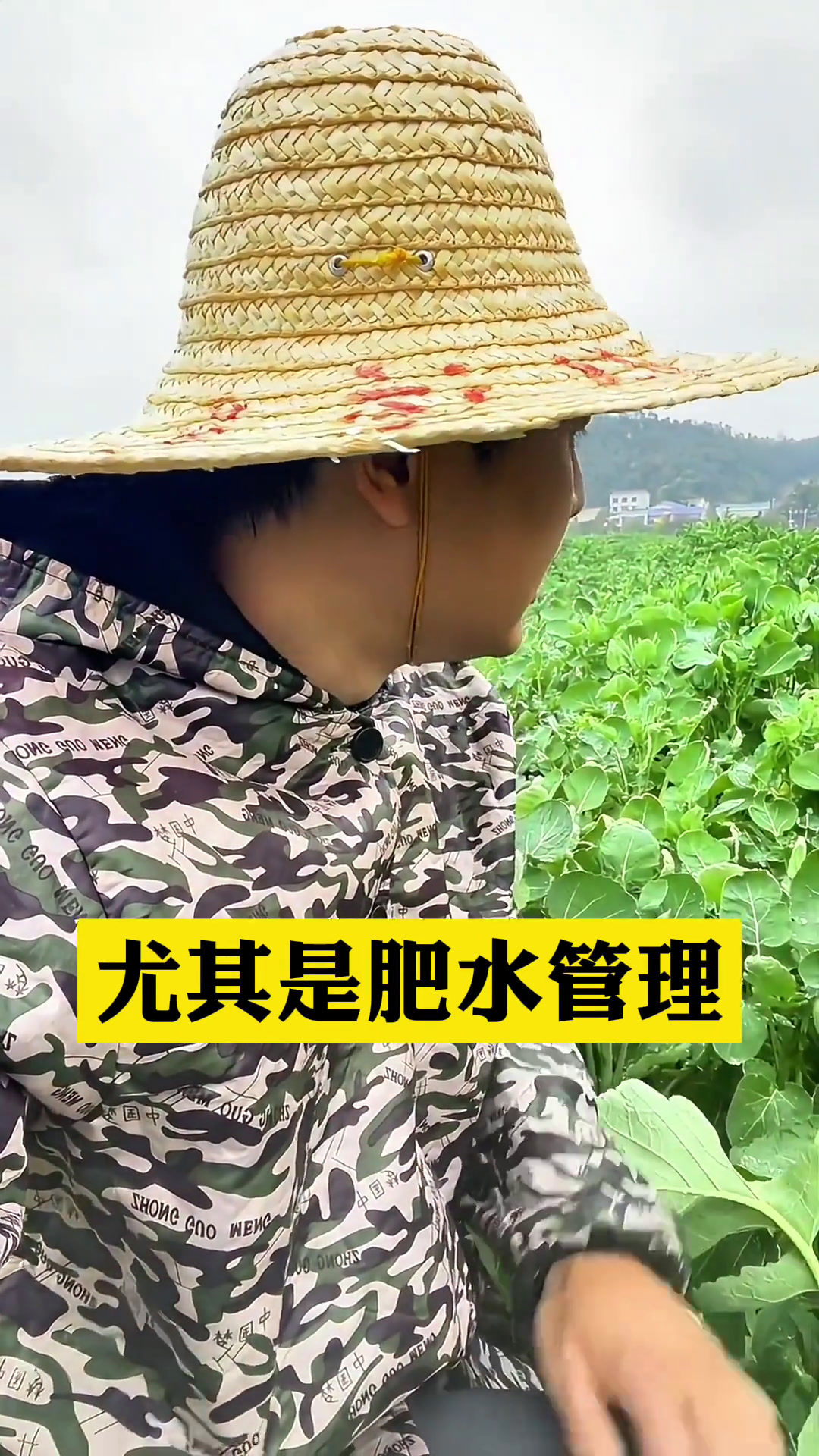 油菜茎秆开裂,如何预防?