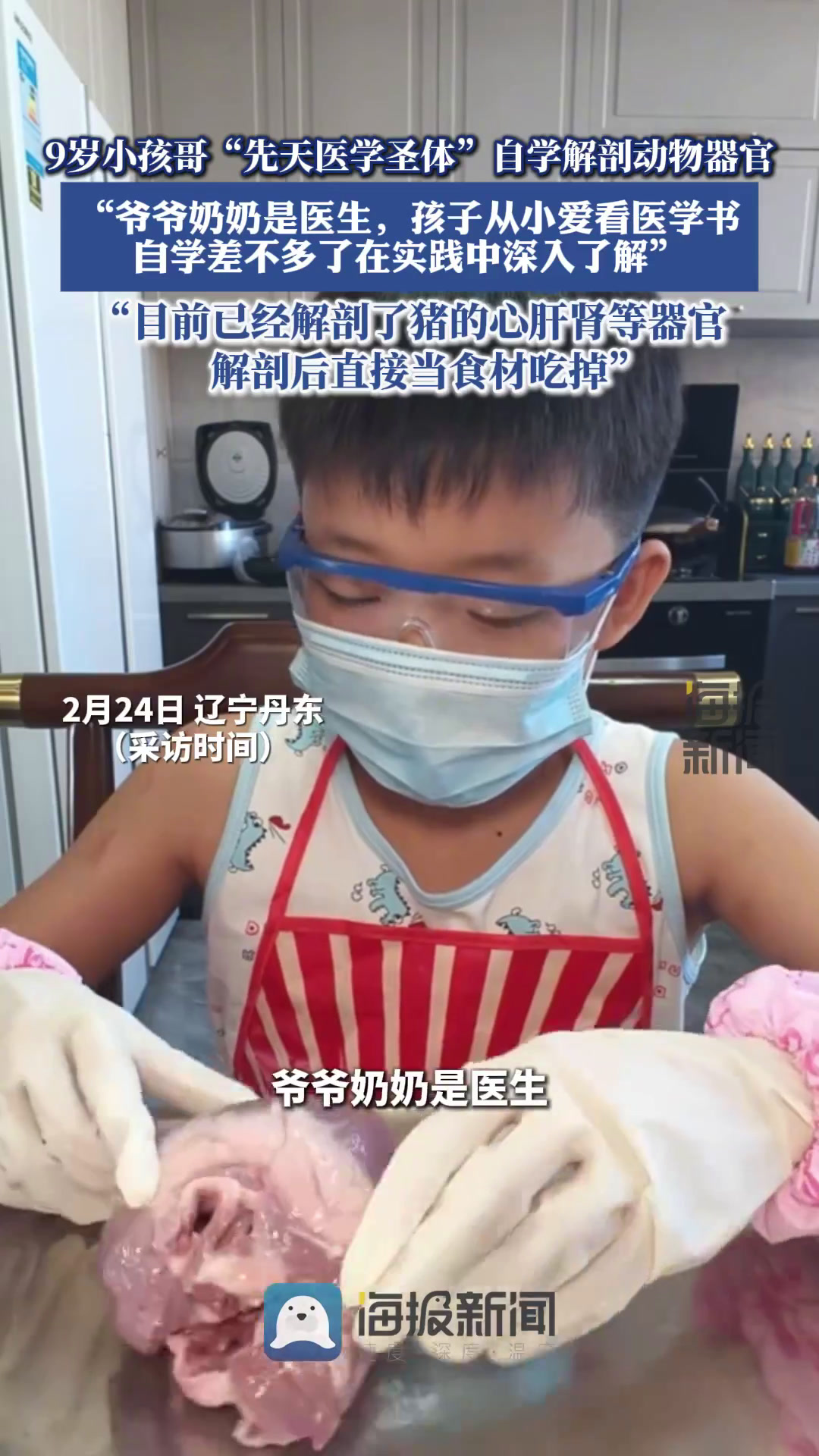 9岁小孩哥自学解剖动物器官,“目前已经解剖了猪的心、肝、肾等器官,解剖后直接当食材”