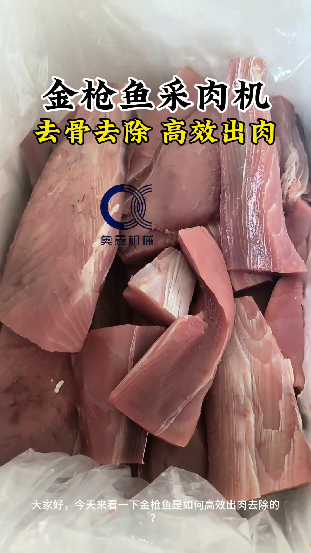 鱼肉采肉机能快速将鱼肉与鱼骨、鱼皮等分离,去刺干净,采肉细腻