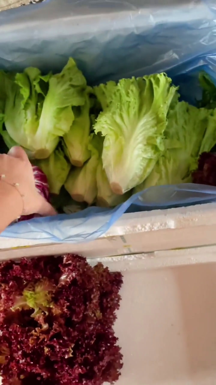 生菜吃法大集结,炒拌涮皆宜,每一种都让人欲罢不能!