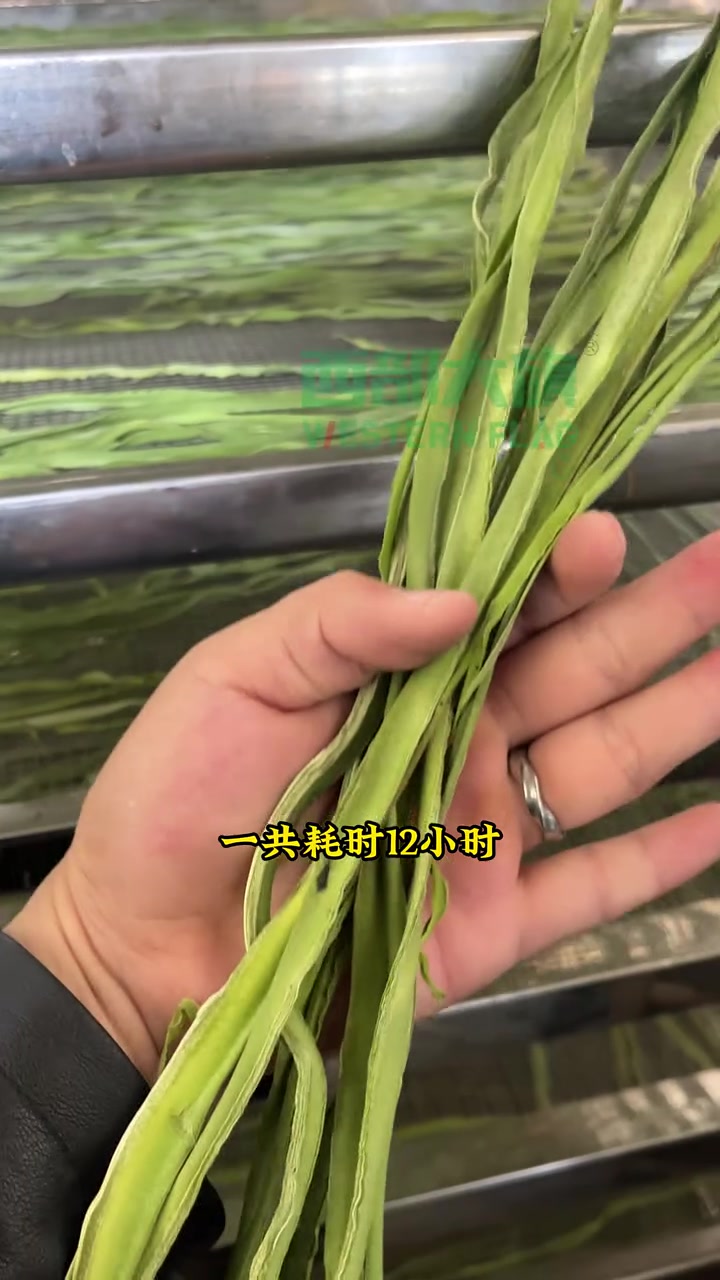 贡菜烘干需要多长时间?贡菜烘干房 贡菜烘干机 贡菜烘干设备