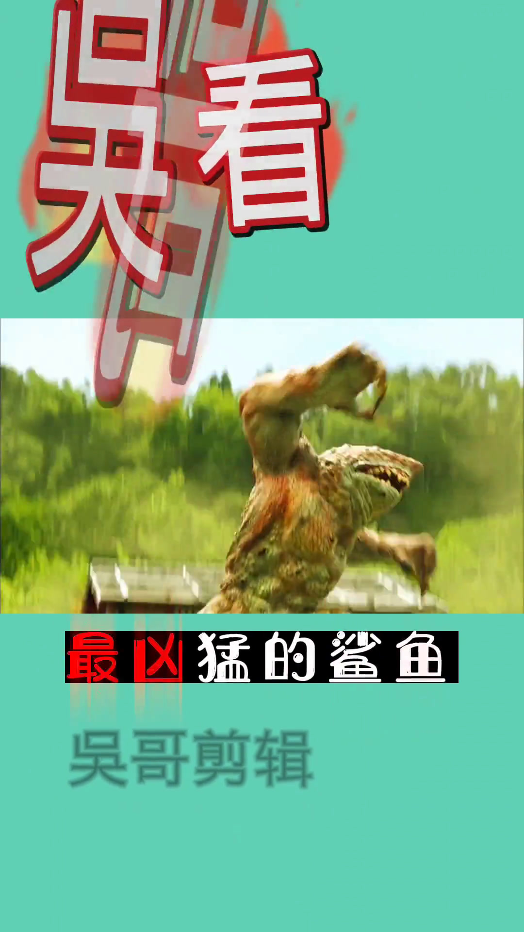 去海里游泳时千万一定要小心这些鲨鱼!因为他们非常凶猛!