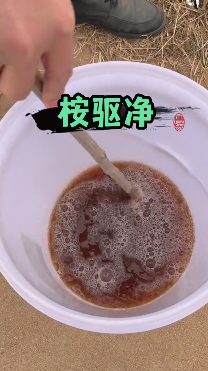 鲫鱼身上红点不是出血病,原来是这种寄生虫惹的祸