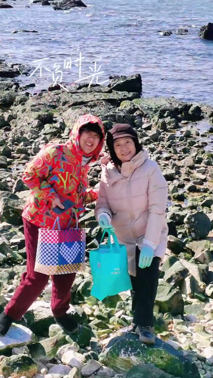 青未了|养马岛畔,海麻线之约