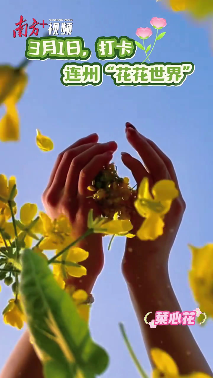 视频|3月1日,到连州看“花花世界”→