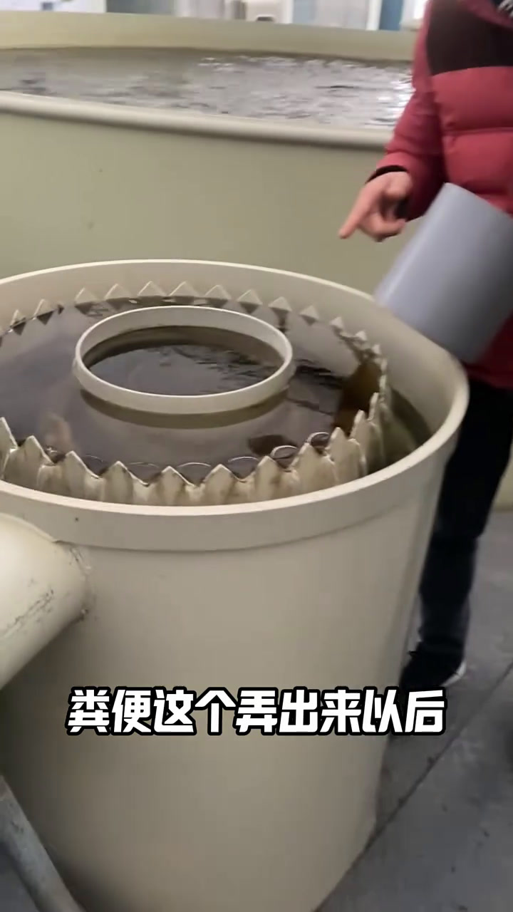 鱼菜共生到底如何才能实现,需要哪些设备才能实现 鱼菜共生 鱼菜共生系统