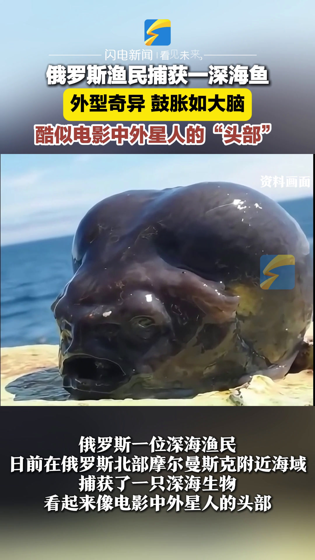俄罗斯渔民捕获一深海鱼 酷似电影中外星人的“头部”