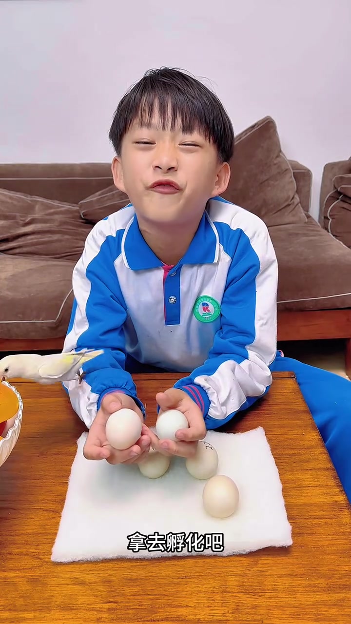 这段时间柯尔鸭下蛋好猛啊,每天下一颗,没过多久,我又有一窝柯尔鸭了!