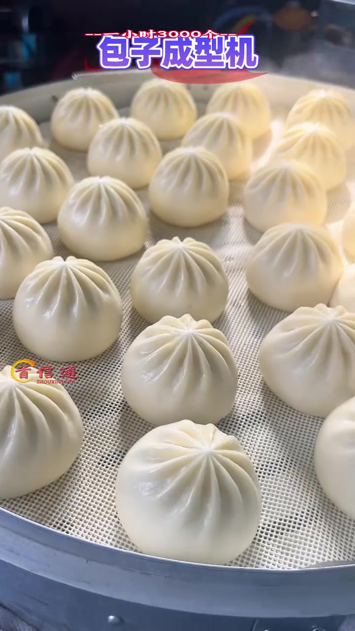 包子机 小型包子机 发面包子机 全自动包子机