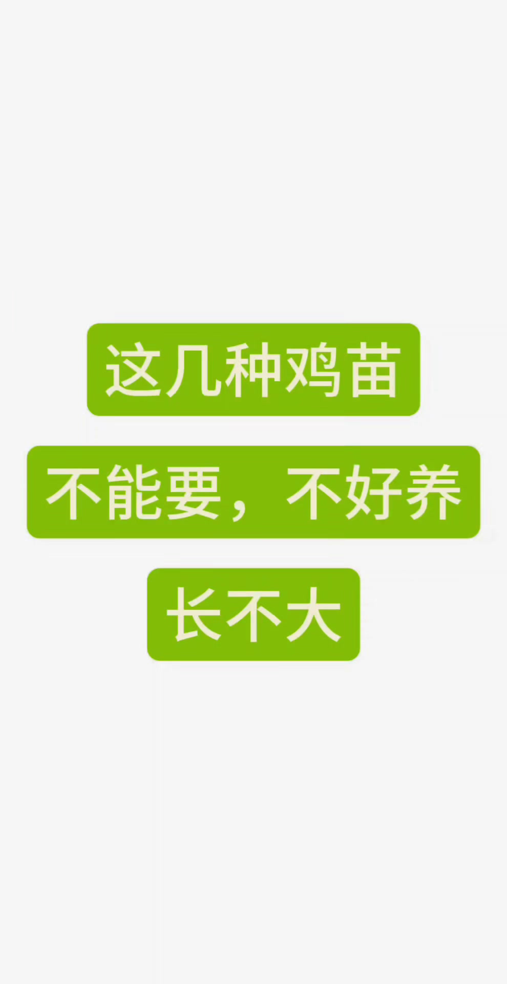 分享视频