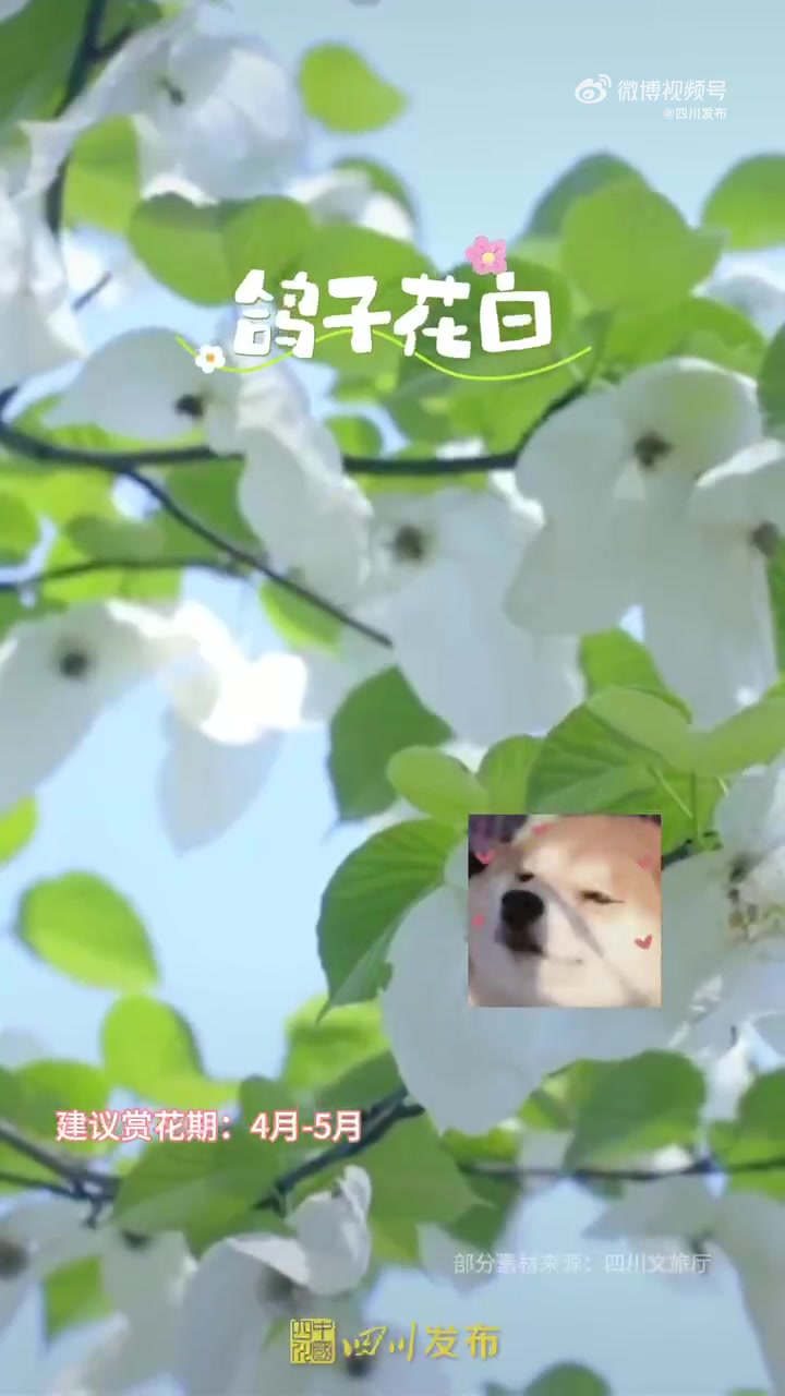 「挑选你的四川色号」春天准备就绪~阳光准备就绪~好心情准备就绪~快来随机挑选一个你最喜欢的